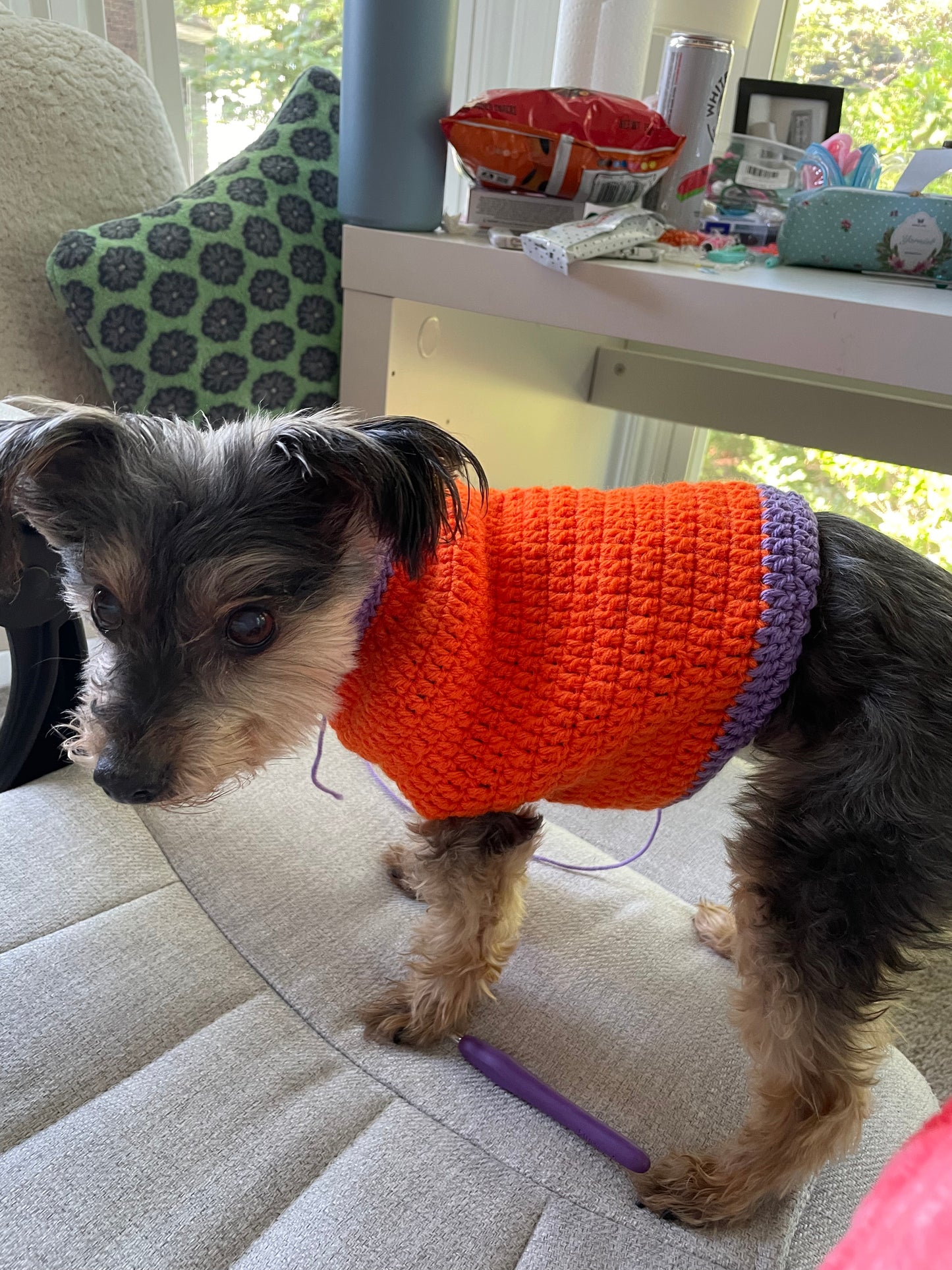 Crocheted Jack-O-Lantern Animal Sweater