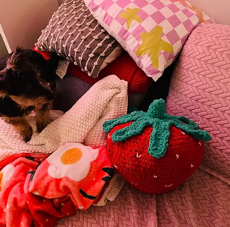 Crocheted Strawberry Pillow